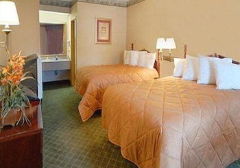 Basic Double Room, 2 Queen Beds