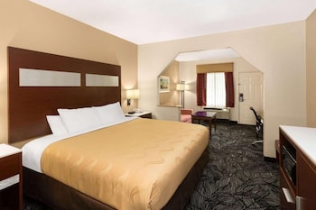 Basic Room, 1 King Bed