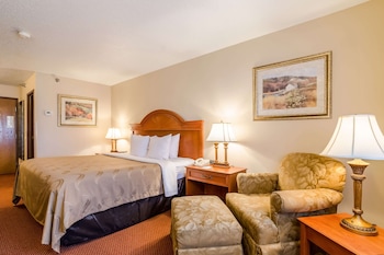 Standard Room, 1 King Bed, Non Smoking