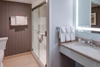 Room, 1 King Bed with Sofa bed (Mobility/Hearing Access, Roll-In Shwr)