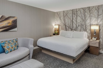 Room, 1 King Bed with Sofa bed (Mobility/Hearing Access, Roll-In Shwr)