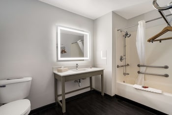 Standard Room, 1 King Bed, Accessible, Non Smoking (Walk-in Shower)