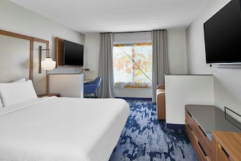 Room, 1 King Bed with Sofa bed