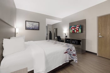 Superior Room, 1 King Bed, Accessible, Non Smoking (Roll-In Shower)