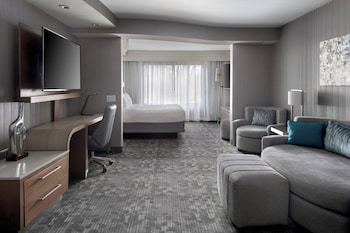 Suite, 1 King Bed with Sofa bed