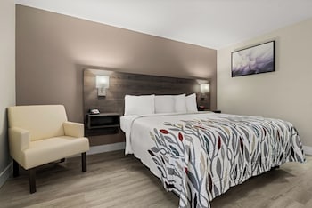 Deluxe Room, 1 King Bed, Accessible, Non Smoking (Roll-In Shower)