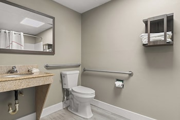 Deluxe Room, 1 King Bed, Accessible, Non Smoking (Roll-In Shower)