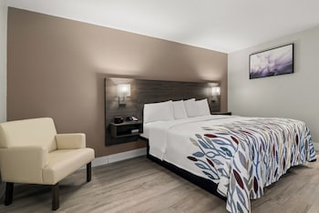 Deluxe Room, 1 King Bed, Non Smoking