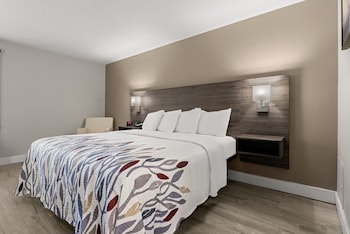 Superior Room, 1 King Bed, Non Smoking, Jetted Tub