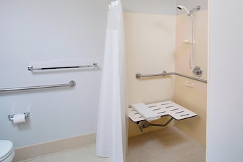 Room, 1 King Bed with Sofa bed (Mobility/Hearing Access, Roll-In Shwr)