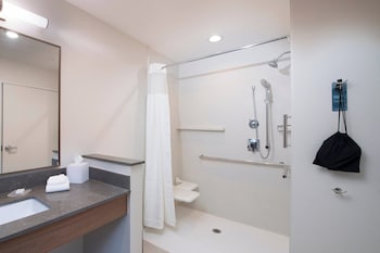 Room, 1 King Bed