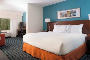 Room, 1 King Bed with Sofa bed