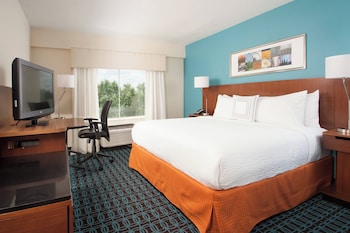 Room, 1 King Bed (Mobility/Hearing Access, Roll-In Shwr)
