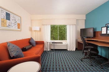 Room, 1 King Bed with Sofa bed