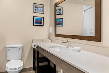 Suite, 1 King Bed with Sofa bed, Accessible, Non Smoking