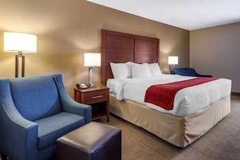 Room, 1 King Bed, Non Smoking
