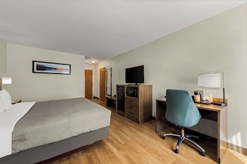 Standard Room, 1 King Bed, Non Smoking