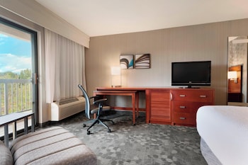 Room, 1 King Bed with Sofa bed, Hearing Accessible (Roll-in Shower)