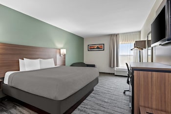 Room, 1 King Bed, Non Smoking