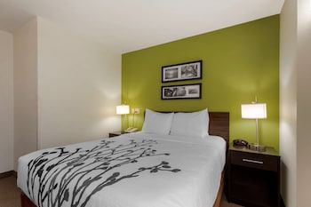 Room, 1 Queen Bed, Accessible, Non Smoking