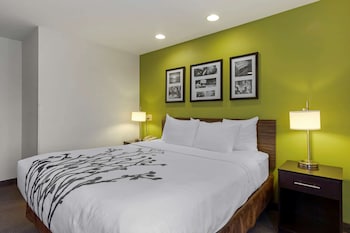 Room, 1 King Bed, Accessible, Non Smoking