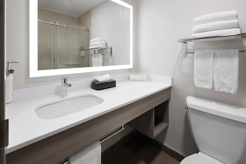 Suite, 1 King Bed with Sofa bed, Accessible (Communications Accessible)