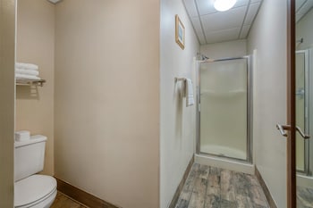 Standard Room, 1 King Bed, Non Smoking, Jetted Tub (with Sofabed)