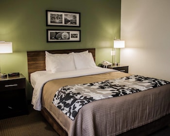 Standard Room, 1 Queen Bed, Accessible, Non Smoking