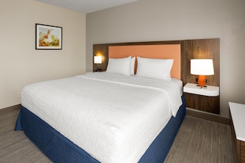 Room, 1 King Bed, Accessible, Bathtub (Mobility & Hearing)
