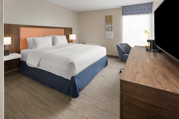 Room, 1 King Bed, Accessible, Bathtub (Mobility & Hearing)