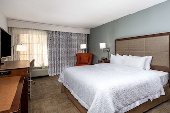 Room, 1 King Bed, Accessible (Roll-In Shower)