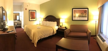 Standard Room, 1 King Bed with Sofa bed, Non Smoking (1 Person Sofa Bed)