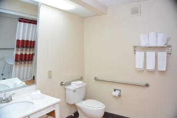 Suite, 1 King Bed, Accessible (Roll-In Shower, Smoke Free)