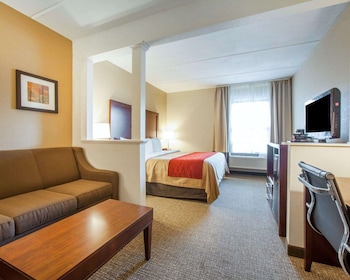 Suite, 1 King Bed with Sofa bed, Non Smoking
