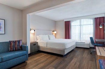 Standard Room, 1 King Bed with Sofa bed