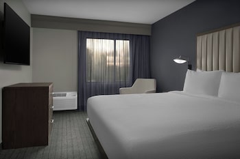 Deluxe Suite, 1 Bedroom