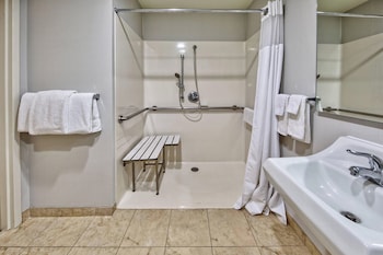 Room, 1 King Bed with Sofa bed (Mobility/Hearing Access, Transf Shwr)