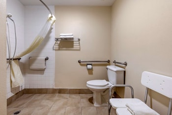 Standard Room, 1 King Bed, Accessible, Non Smoking
