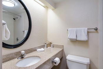Standard Room, 1 King Bed, Accessible (Smoke Free)