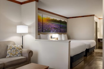 Studio Suite, 2 Queen Beds, Non Smoking (One-Bedroom)