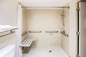 Room, 1 King Bed, Mobility Accessible, Non Smoking (Mobility, Walk-in Shower)