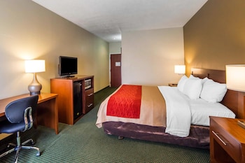 Standard Room, 1 King Bed, Accessible