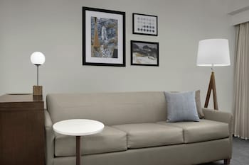 Studio, 1 King Bed with Sofa bed