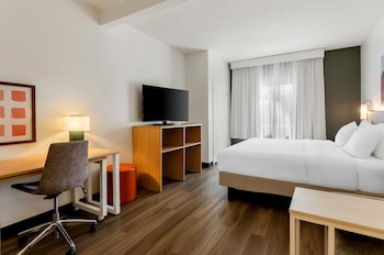 Room, 1 King Bed with Sofa bed