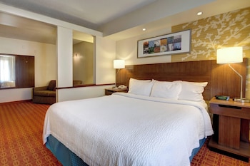 Executive Suite, 1 King Bed with Sofa bed