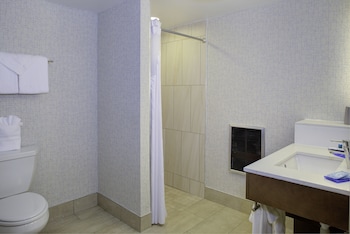 Standard Room, 1 King Bed, Accessible (Mobility, Roll-In Shower)