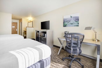 Standard Room, 2 Queen Beds, Accessible, Refrigerator & Microwave (Walk-in Shower)