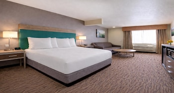 Standard Room, 1 King Bed, Non Smoking, Refrigerator & Microwave (with Sofabed)