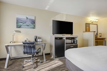 Standard Room, 1 King Bed, Accessible, Refrigerator & Microwave (Walk-in Shower)