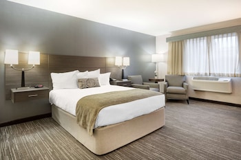 Standard Room, 1 Queen Bed, Accessible, Refrigerator & Microwave